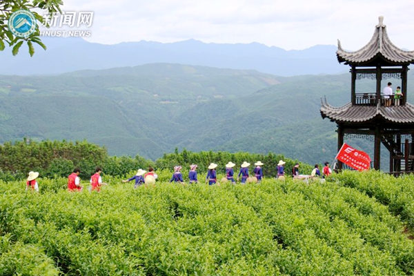 云台山美景_副本.jpg