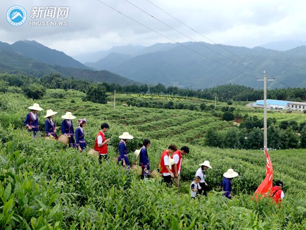 清晨下山_副本.jpg