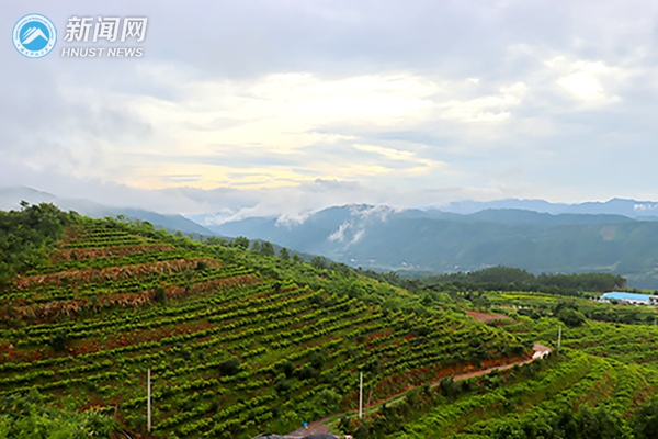 丘陵 (1 - 1)_副本.jpg